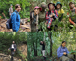 The field assistants team
