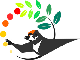 Razafindratsima Lab Logo